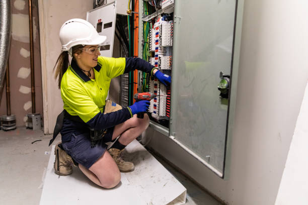 Best Electric Panel Repair  in Saddlebrooke, AZ